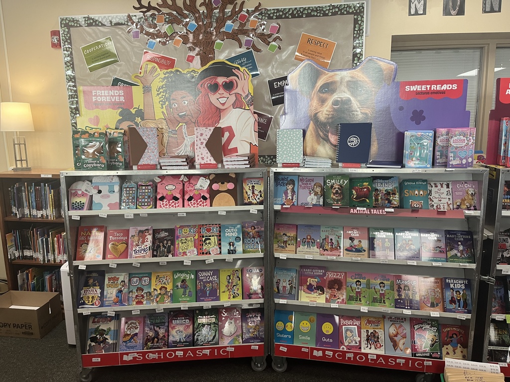 Variety of books in a case for sale during the Scholastic book fair.
