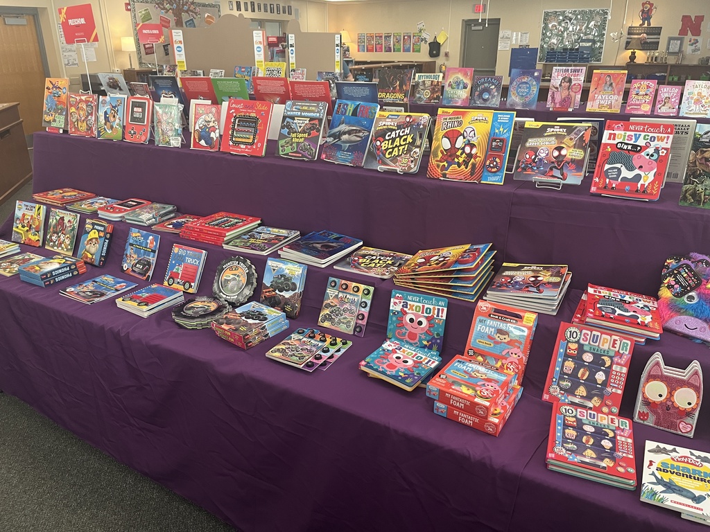Variety of books in a case for sale during the Scholastic book fair.