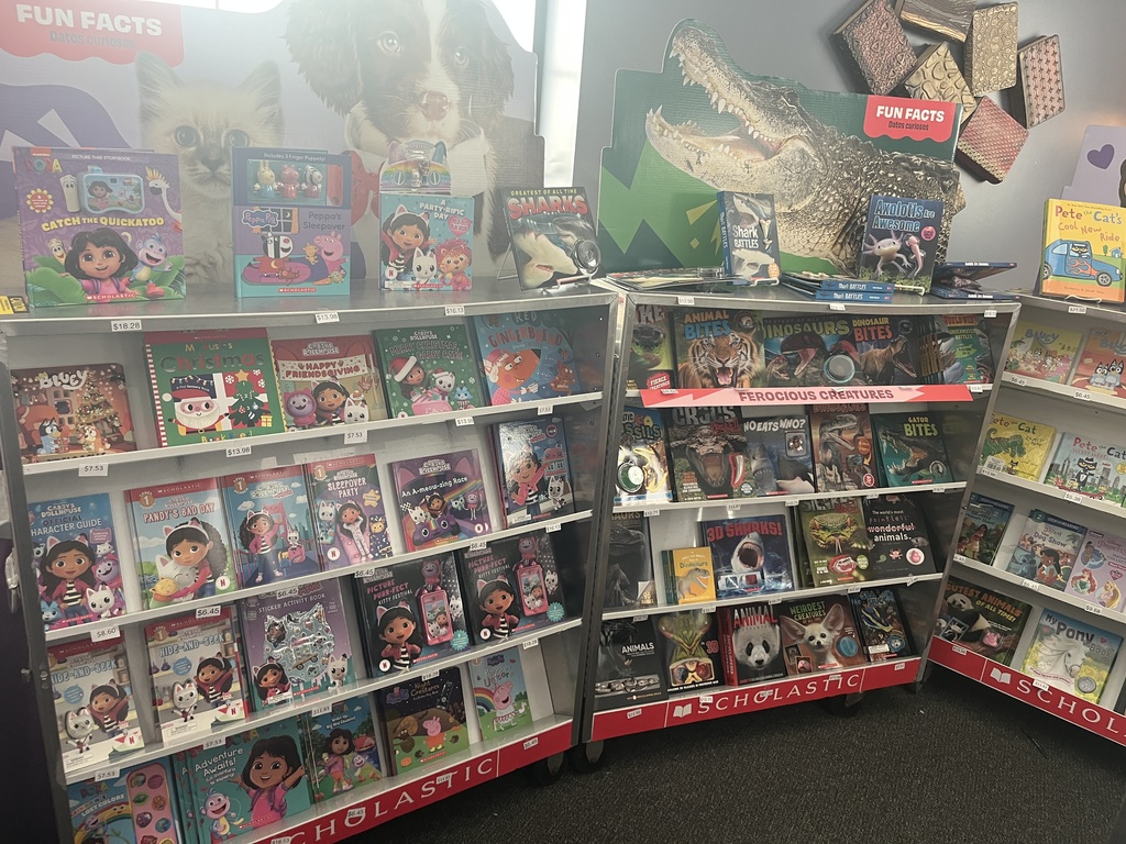 Variety of books in a case for sale during the Scholastic book fair.