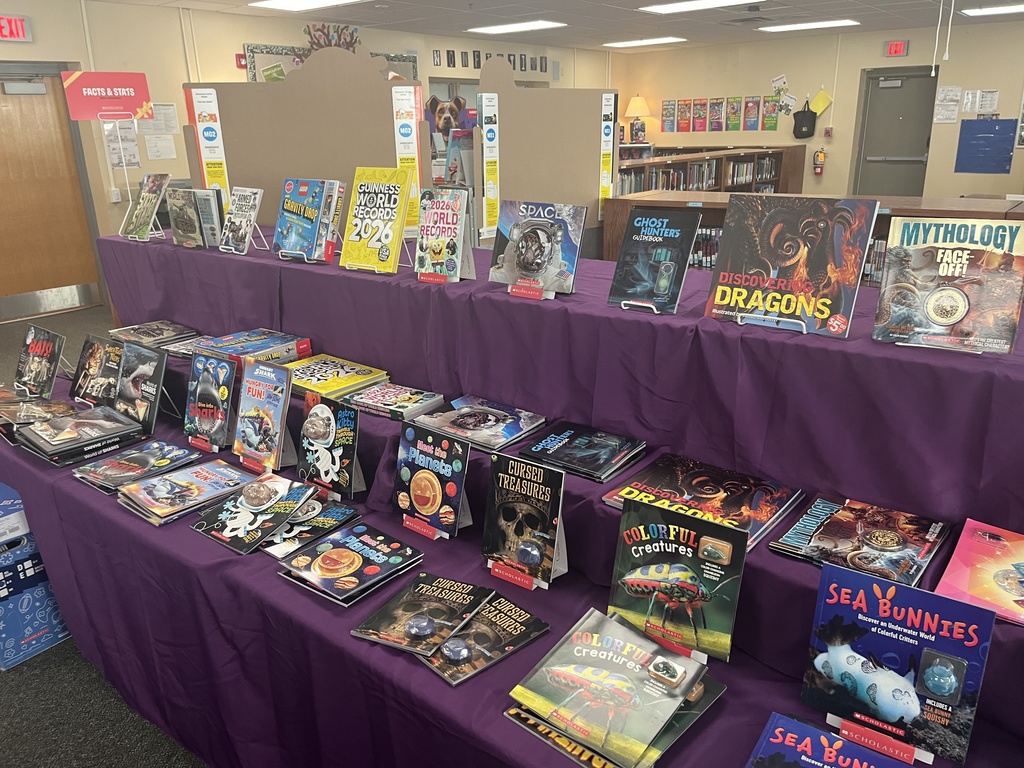 Variety of books in a case for sale during the Scholastic book fair.