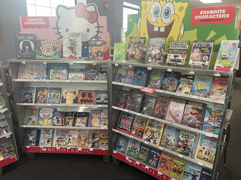 Variety of books in a case for sale during the Scholastic book fair.