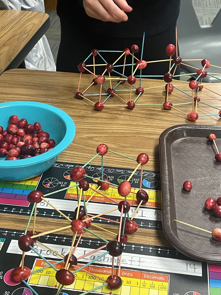 A structure made with cranberries and toothpicks - hexagonal