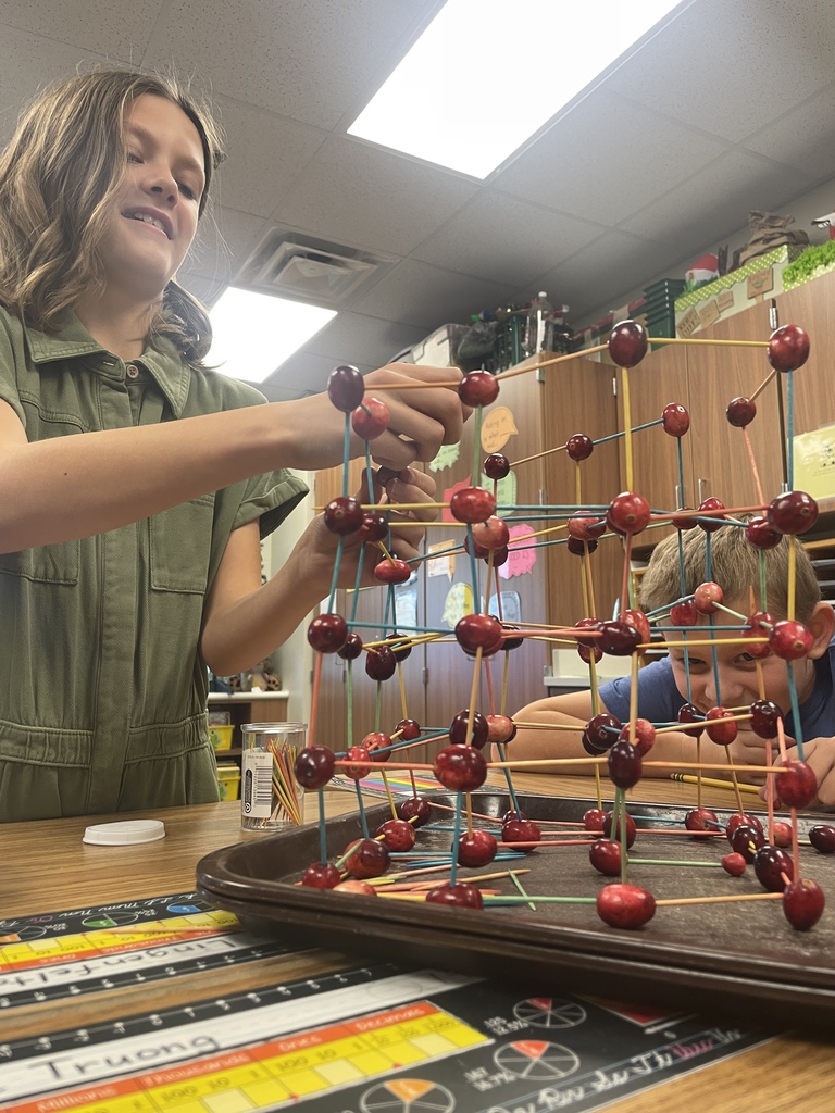 A student constructs a tower of toothpicks and cranberries.