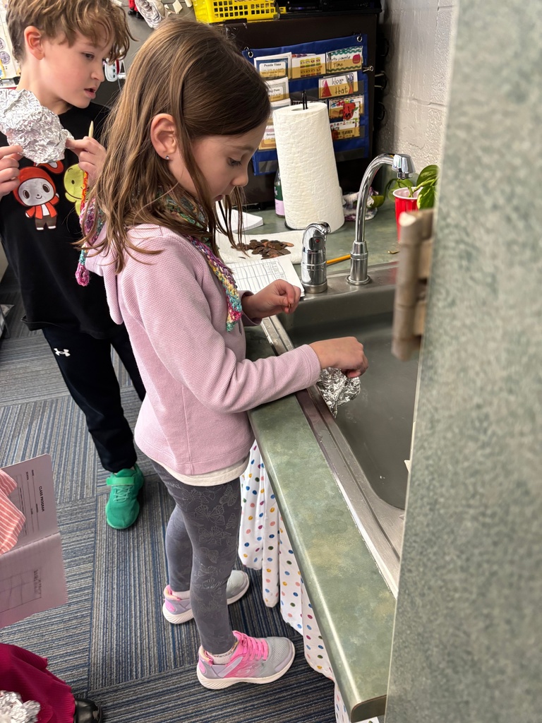 Two students standing around a counter with a black tub present with aluminum foil and pennies.