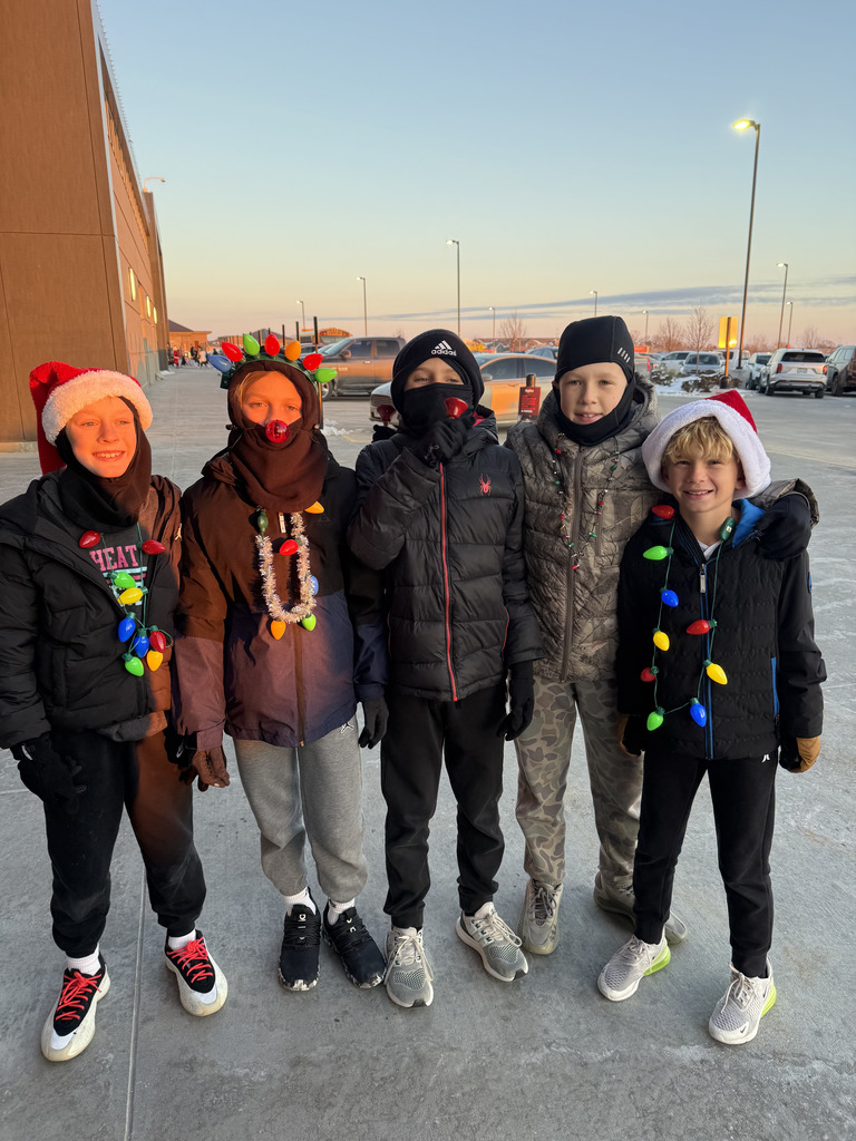 Five boys wearing winter clothing and Santa hats or knit hats stand in a line outdoors at sunset. Four of the boys are wrapped in oversized string lights or tinsel.
