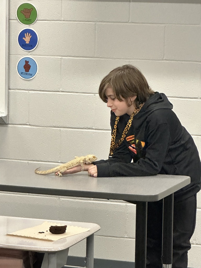 A student has his lizard and is showing the class. 