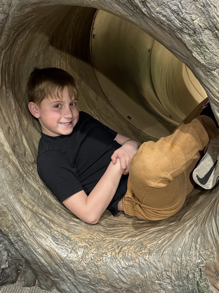 A young boy smiles while reclining inside a hollow, carved wooden log structure designed for play.