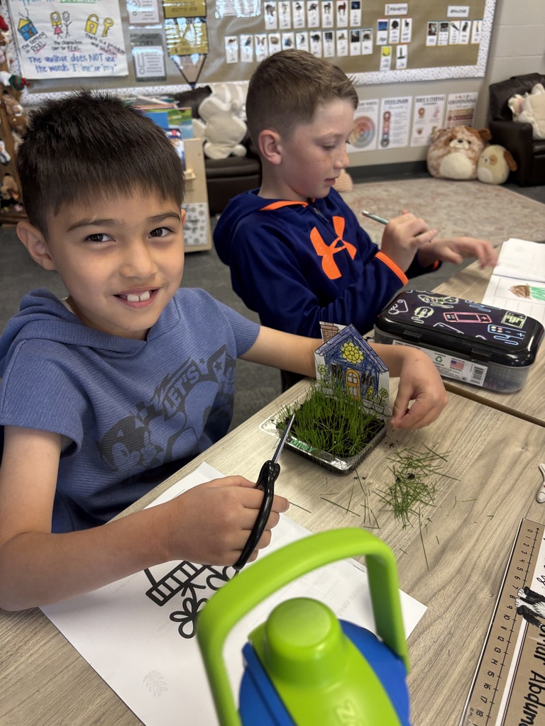 student cutting grass in their classroom with scissors.