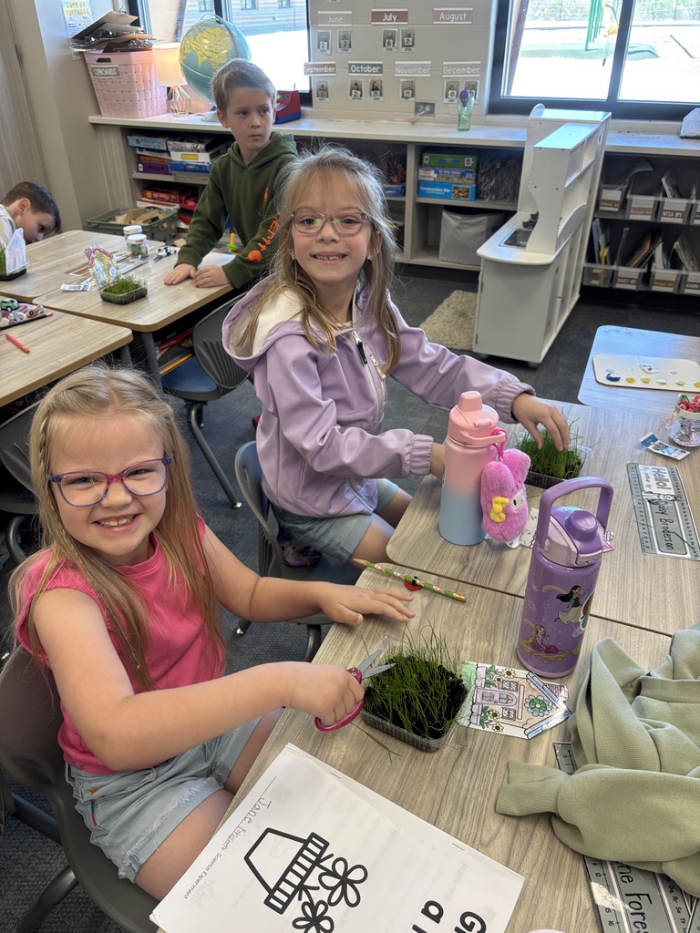 student cutting grass in their classroom with scissors.