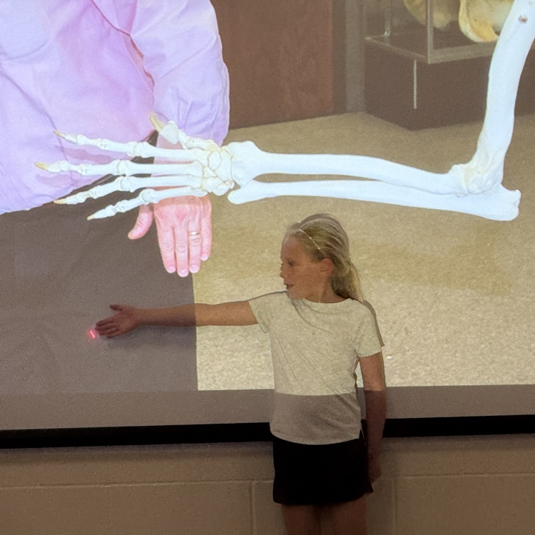 A kindergarten girl stands in front of the screen with her right arm stretched out. Behind is a photograph of a tiger skeleton with an outstretched paw 