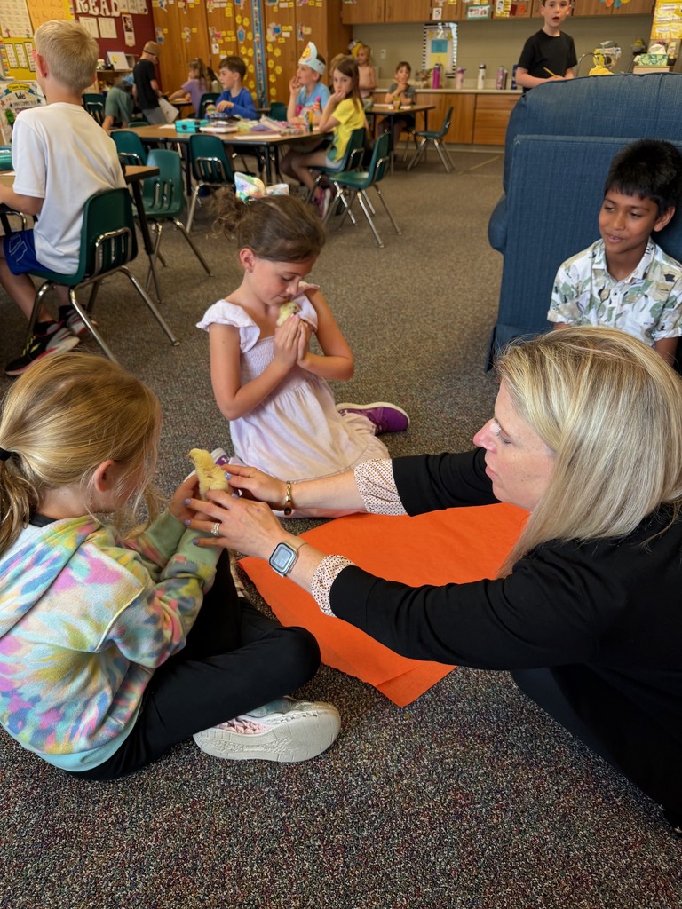 photo of Mrs. Hamann showing students how to hold the chicks