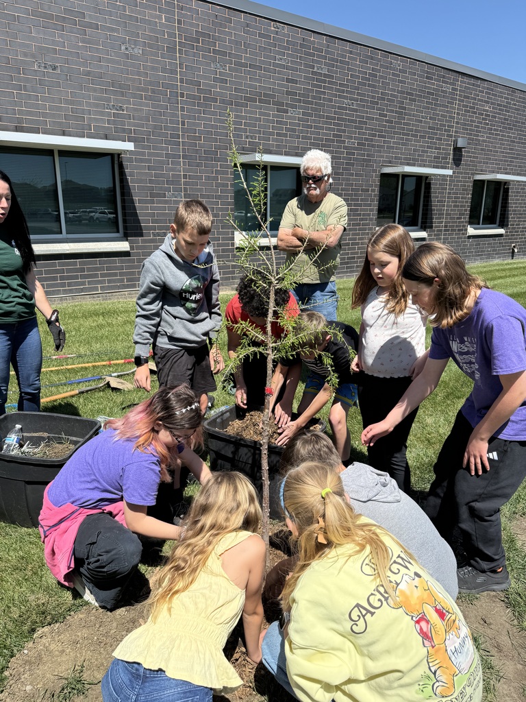 A group of students are scooping dirt around a tree they planted.