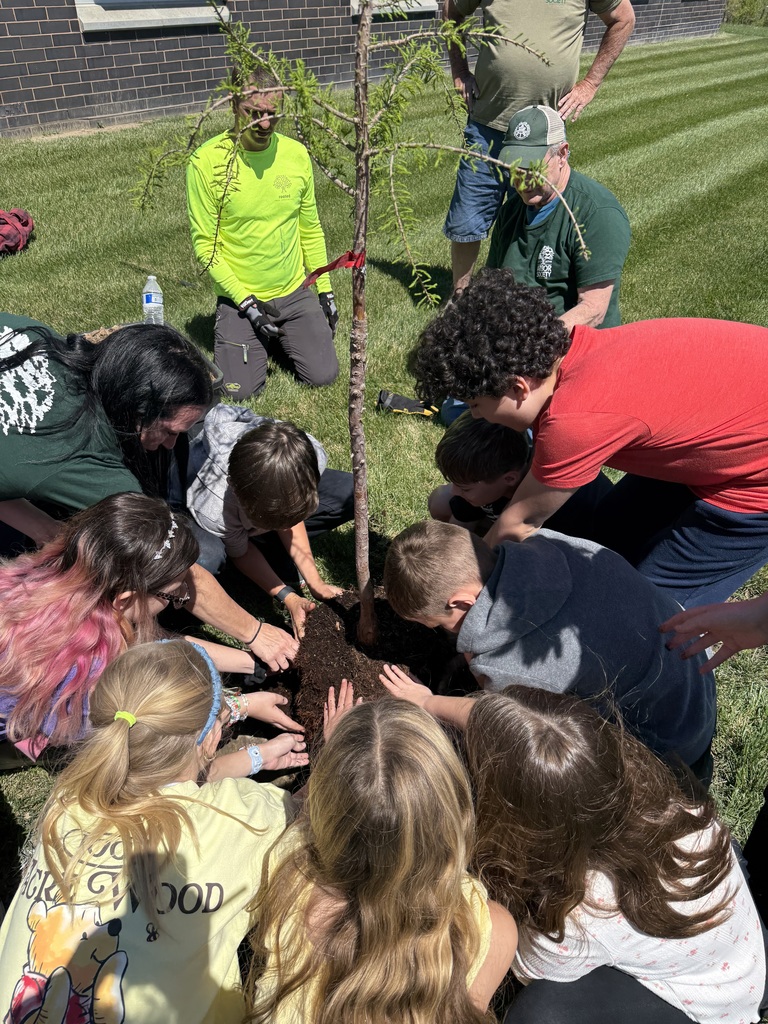 A group of students are working to loosen the root ball of a tree they are planting.