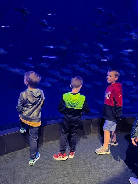 Three boys stand in a dimly lit aquarium, mesmerized by a massive wall of blue water filled with a large school of silver fish.