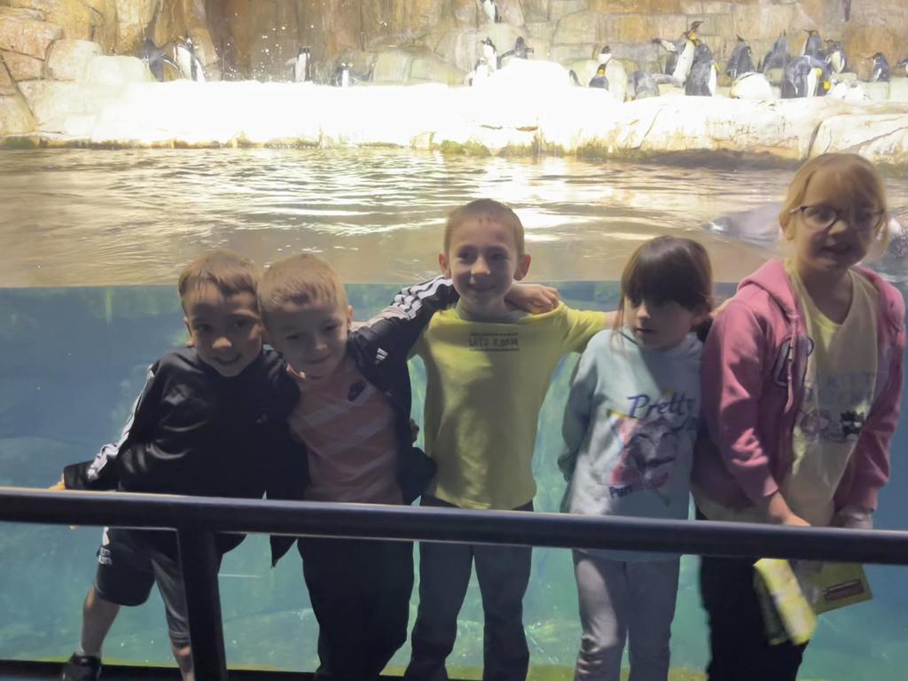 Five children stand in a row behind a glass partition, posing in front of a penguin exhibit with rocky ledges and a swimming pool.