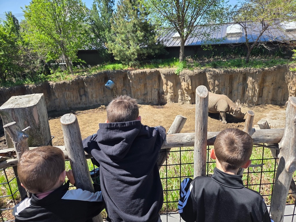 Three young boys lean against a wooden fence, looking down into a rocky zoo enclosure where a rhinoceros stands on a dirt patch.