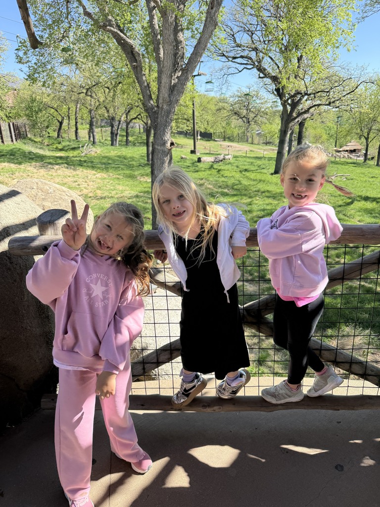 Three girls in pink and black outfits pose playfully against a wooden railing with a grassy field and trees in the background.