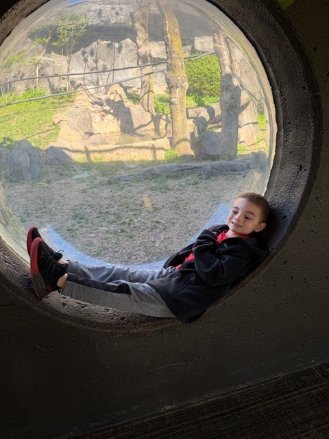 A young boy relaxes inside a large, circular glass viewing portal overlooking an outdoor animal habitat.