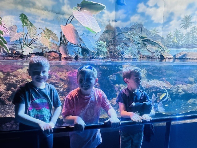 Three young boys stand behind a glass aquarium tank filled with colorful coral and tropical fish.