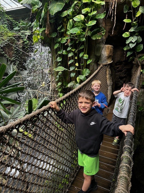 Three young boys walk across a wooden rope bridge in a tropical indoor rainforest setting with a waterfall nearby.
