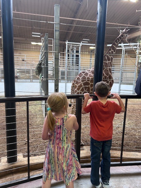 Two children with their backs to the camera look through a glass partition at a tall giraffe inside an indoor enclosure.