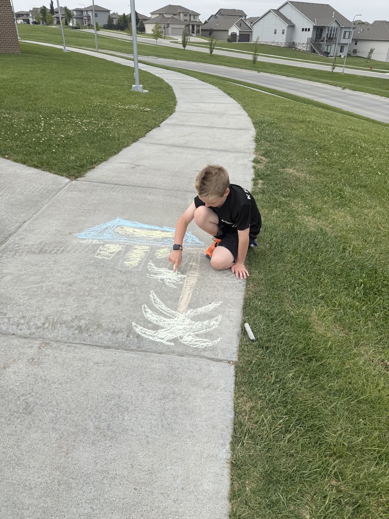 A young boy in a black t-shirt and orange sneakers squats on a winding sidewalk, carefully drawing a palm tree with white and yellow chalk. In the distant background, a suburban neighborhood with modern houses and a grey street is visible under an overcast sky.