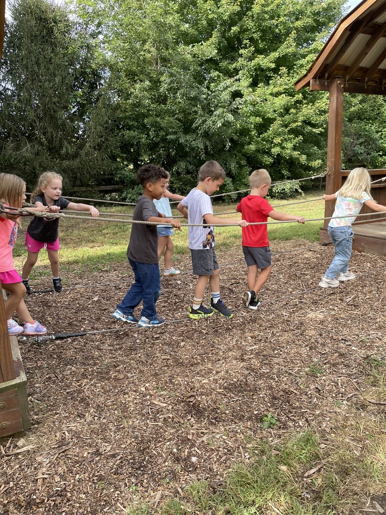 7 students are balancing as they walk across a wire bridge