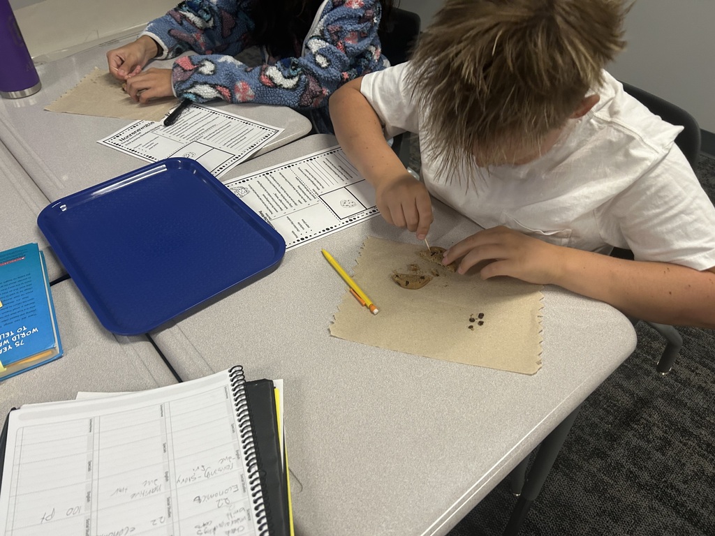 Students are mining chocolate chips out of cookies.