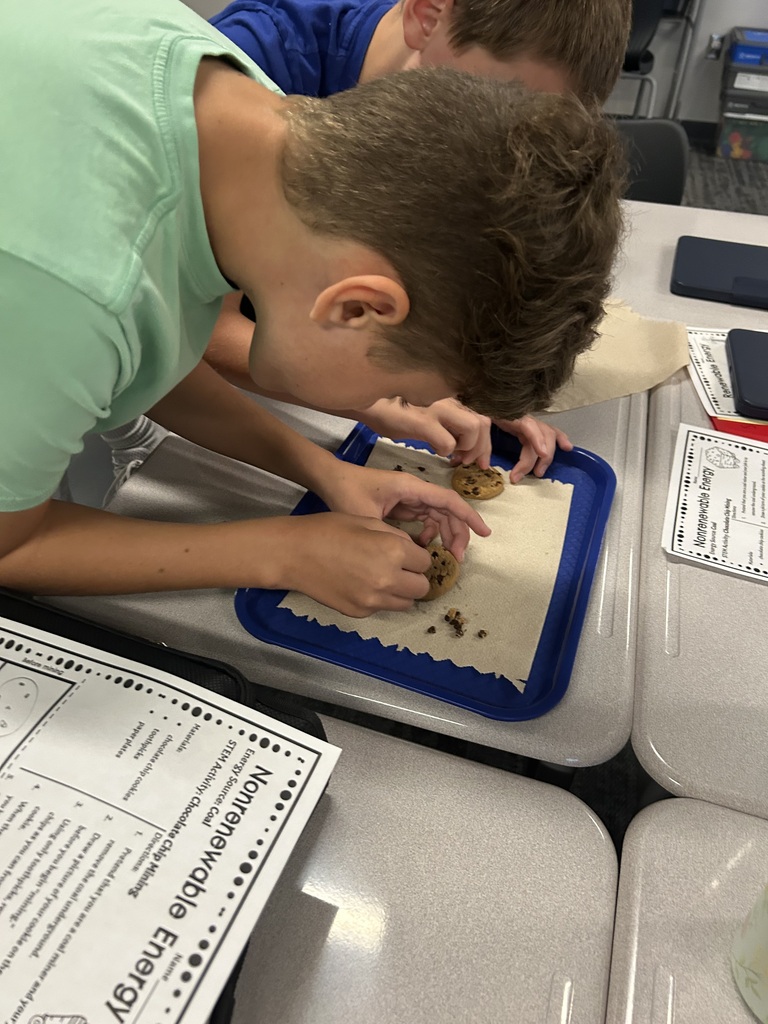 Students are mining chocolate chips out of cookies.