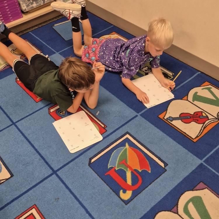 students working as partners on a math assignment
