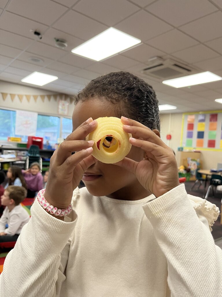 A young girl looking through a spiral-cut apple core like a telescope during a classroom activity.