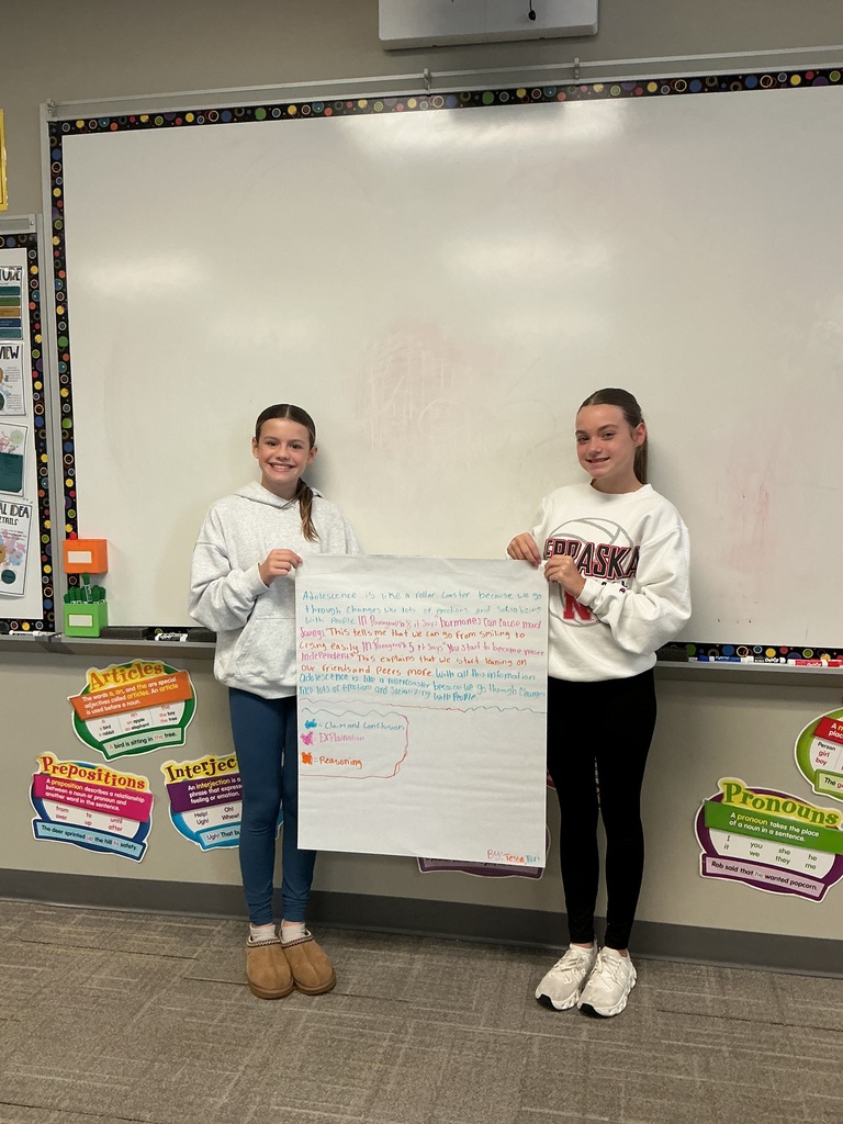 Students presenting their poster in class