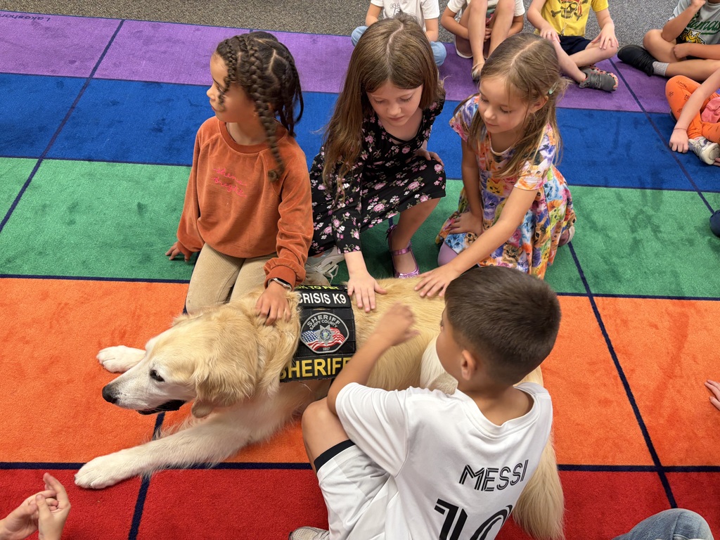 Students on the ground petting Henry the therapy dog. 