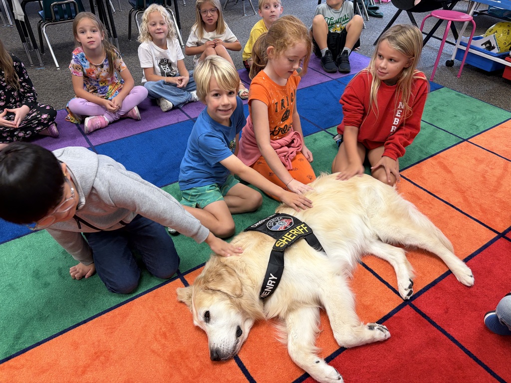 Students on the ground petting Henry the therapy dog. 