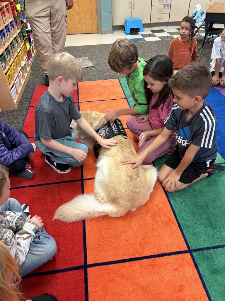 Students on the ground petting Henry the therapy dog. 