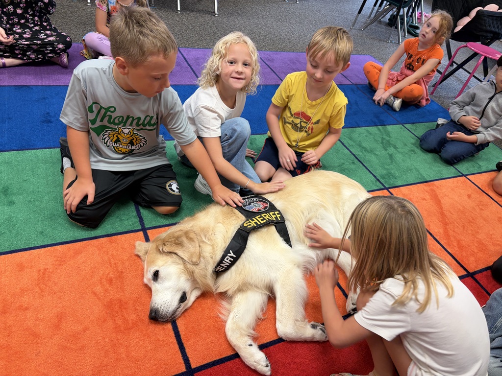 Students on the ground petting Henry the therapy dog. 