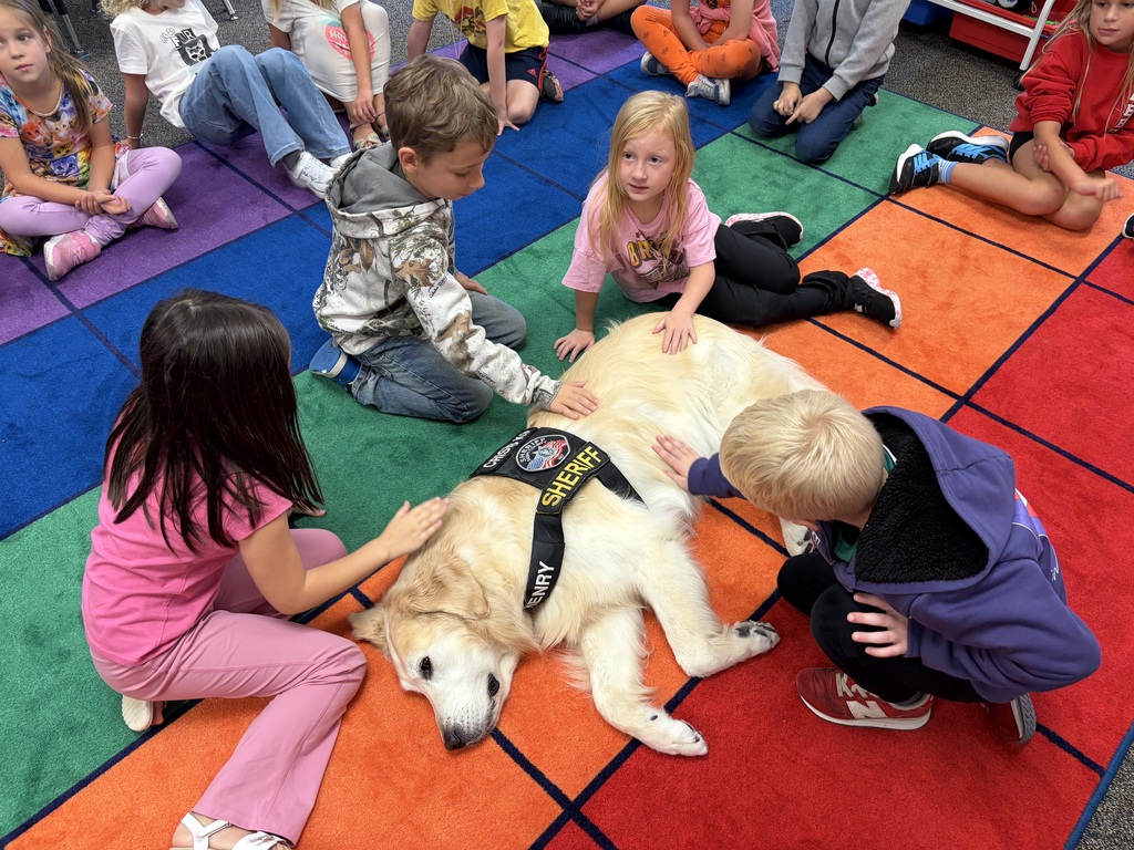 Students on the ground petting Henry the therapy dog. 
