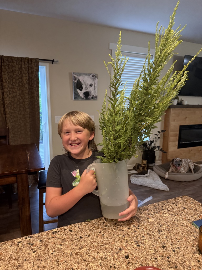 student holding goldenrods for a photo