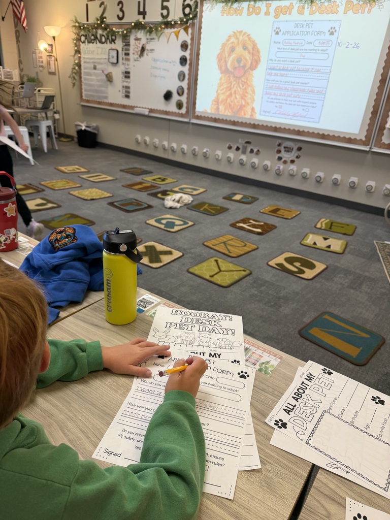 student filling out an application form for a desk pet at their seat