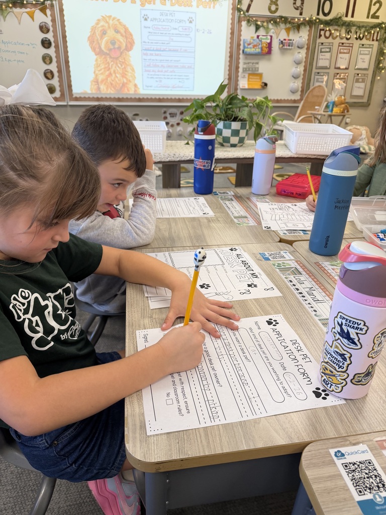 students writing an application for a desk pet