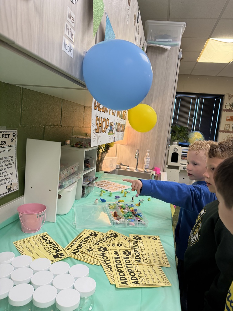 students preparing to adopt a desk pet in a classroom.