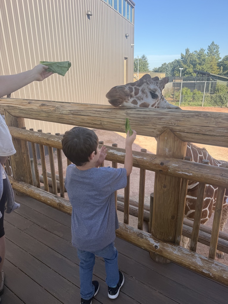 A young boy in a blue t-shirt and jeans stands on a wooden deck feeding a piece of lettuce to a giraffe over a wooden fence railing. Another person's arm reaches in from the left holding another leaf.