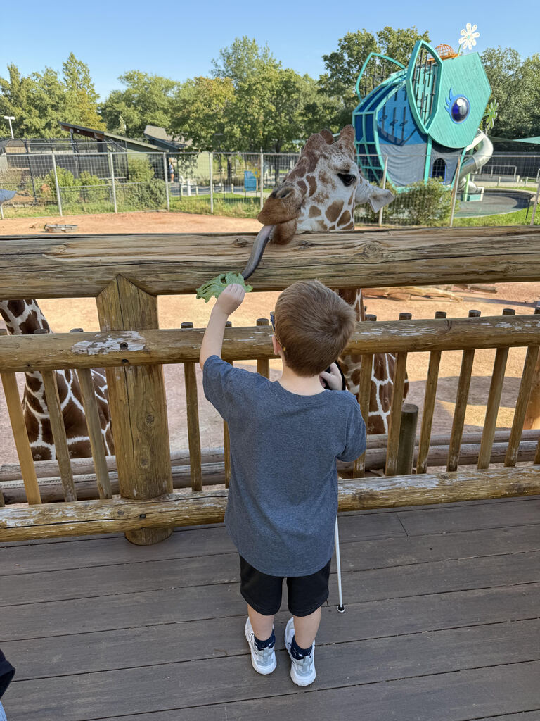 A boy seen from behind stands on a wooden deck holding a white cane and reaching up to feed a leaf of lettuce to a giraffe. A large blue playground structure in the shape of a fish is visible in the background.