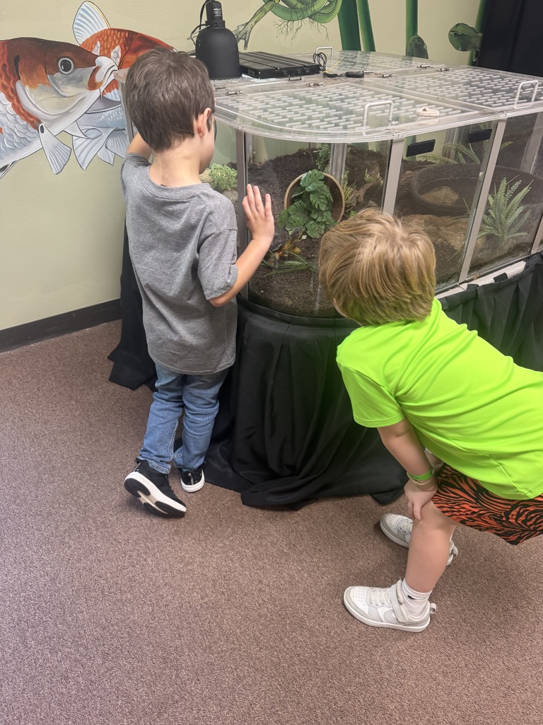 Two boys observe an exhibit inside an educational room. One boy in a grey shirt touches the glass of a terrarium while a boy in a bright green shirt leans down to look inside. A large painted fish mural is on the wall behind them.