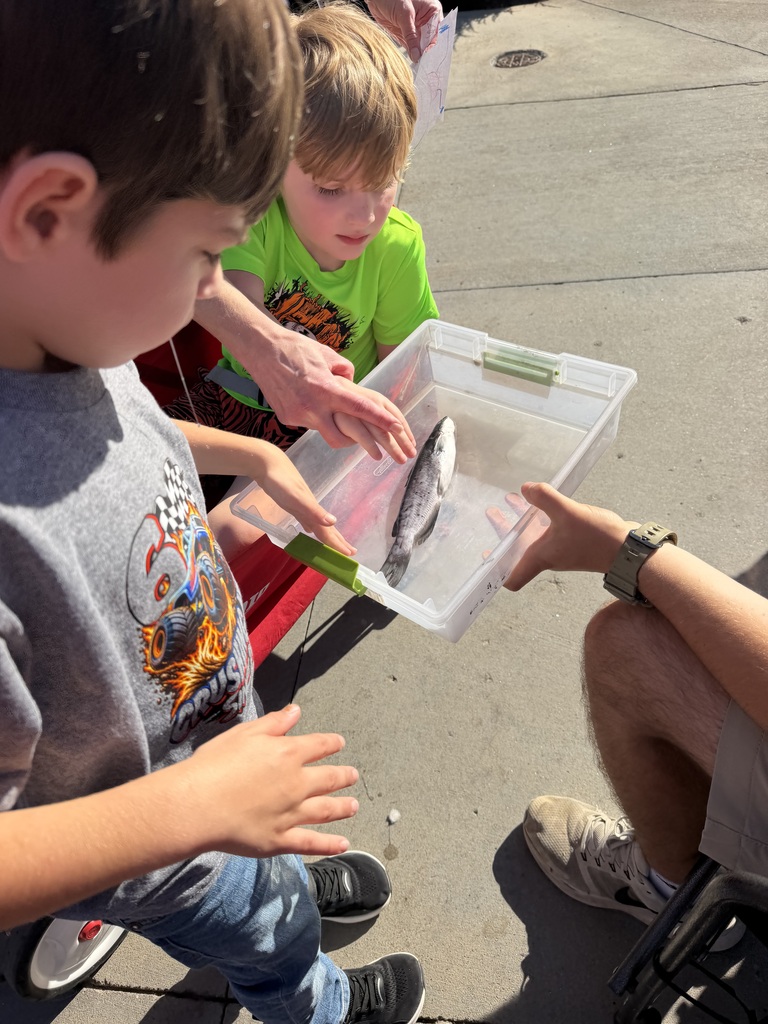 Two young boys lean over a clear plastic bin containing water and a small fish. One boy in a bright green shirt reaches into the bin, while a person nearby helps hold the container on a concrete patio outdoors.