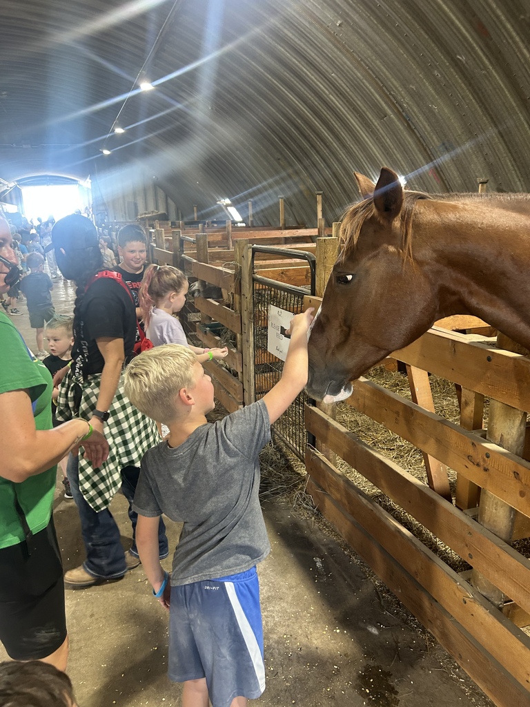 A young boy in a grey shirt and blue shorts reaching up to pet the nose of a brown horse standing in a wooden stall inside a barn.