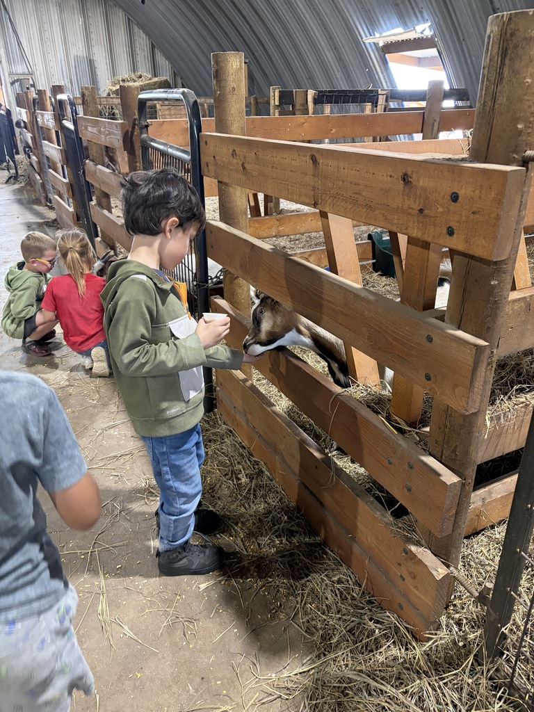 A young boy in an olive green jacket feeding feed from a small cup to a brown and white goat reaching its head through a wooden pen fence.