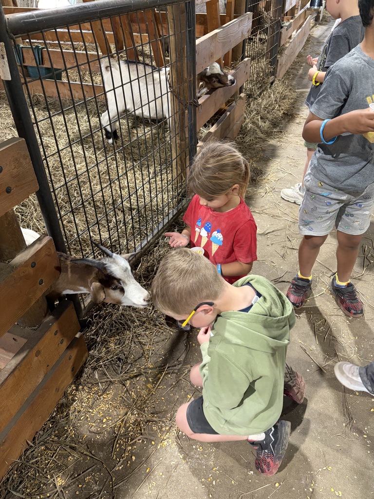 Two young children wearing red and green shirts leaning forward inside a barn enclosure to feed and pet small goats reaching through the wooden fence.