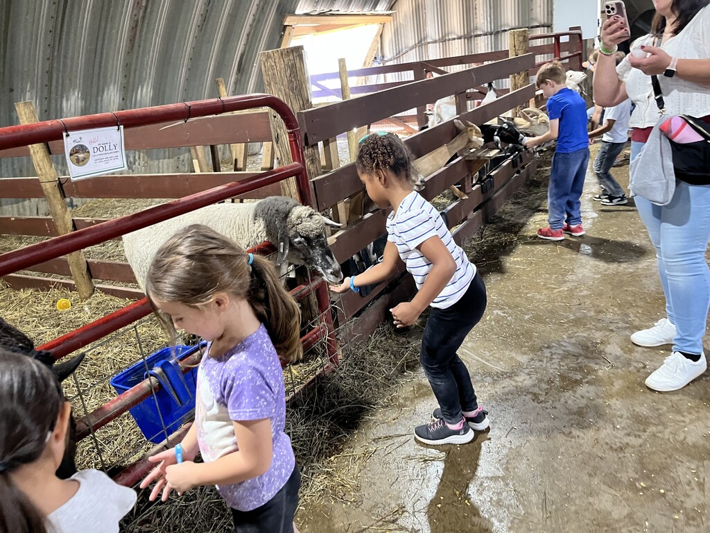 Young girl in a striped shirt extending her hand to feed a sheep inside a barn pen, while another student looks on.