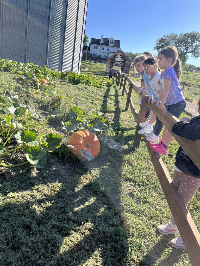 Children leaning over a wooden fence next to a metal grain silo, looking down at large orange pumpkins growing in a field patch.